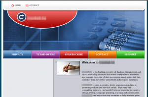 Screenshot of spammy website